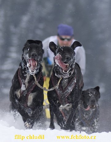 Tri studne zima 2009 - 0258.jpg